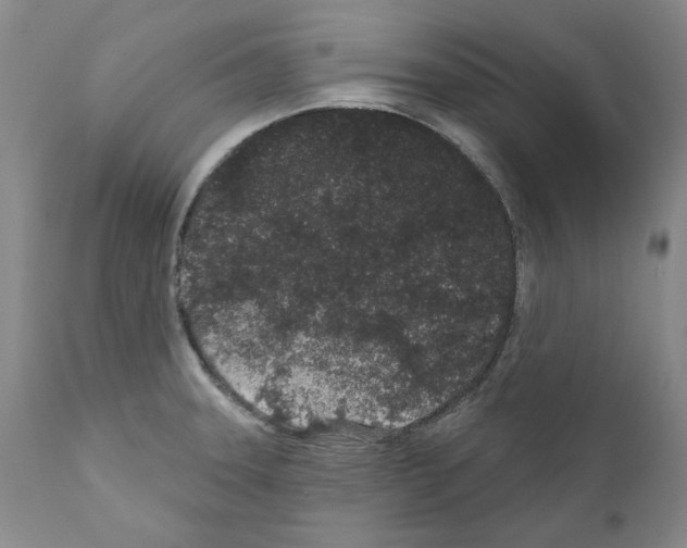 X0000110961331200907311057