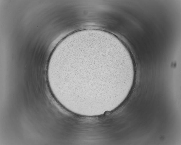 X0000110961333200907311057