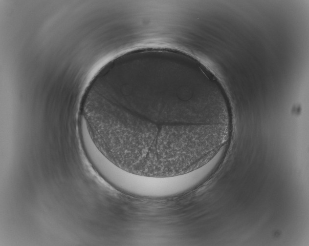 X0000110961334200907311057