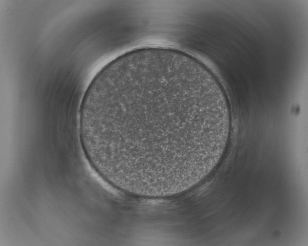 X0000110961335200907311057