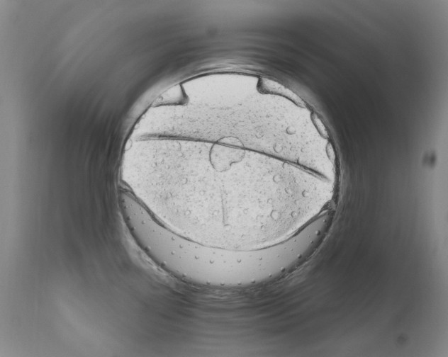 X0000110961338200907311057