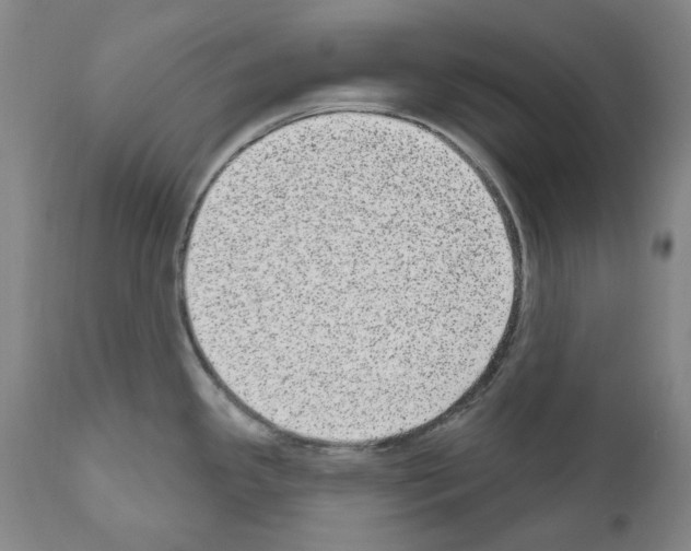 X0000110961341200907311057