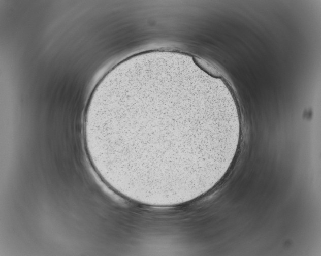 X0000110961343200907311057
