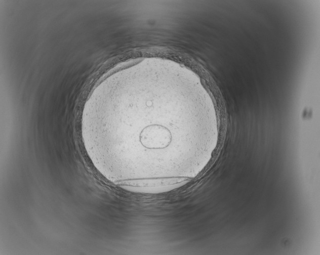 X0000110961345200907311056
