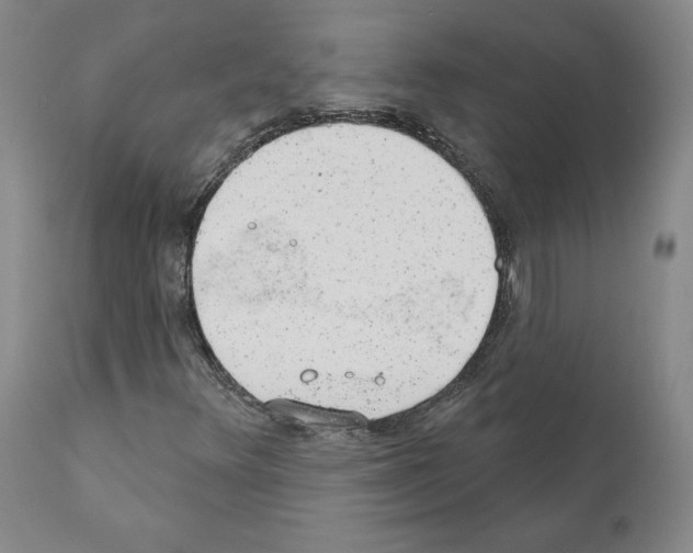X0000110961348200907311056