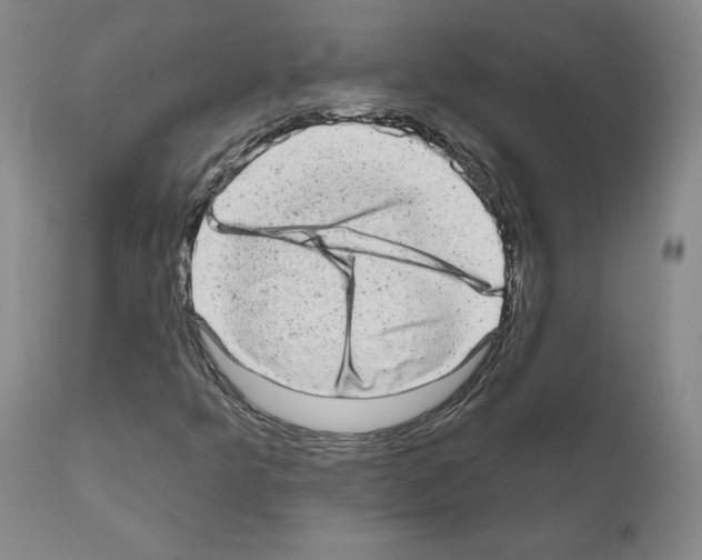 X0000110961349200907311056