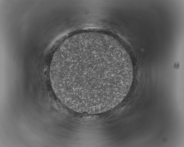 X0000110961351200907311056