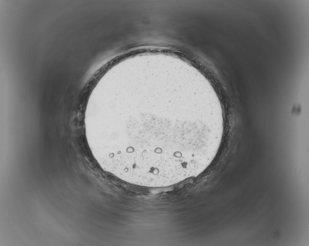 X0000110961352200907311056