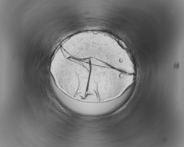 X0000110961353200907311056