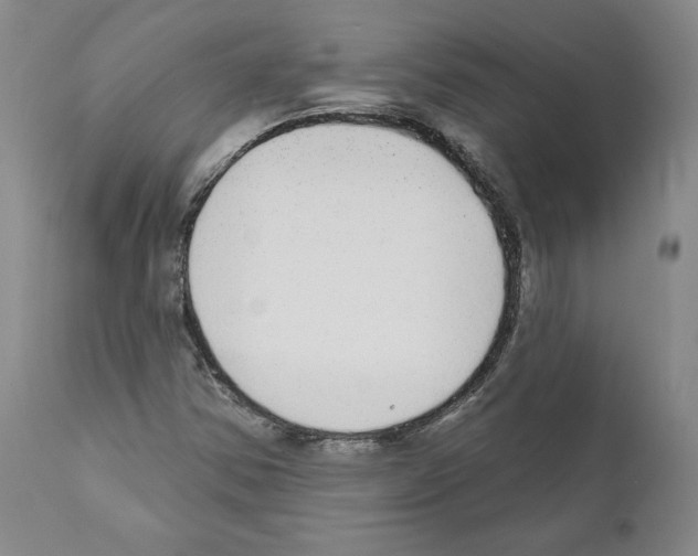 X0000110961354200907311056