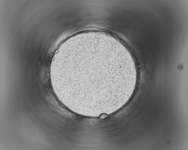 X0000110961355200907311056