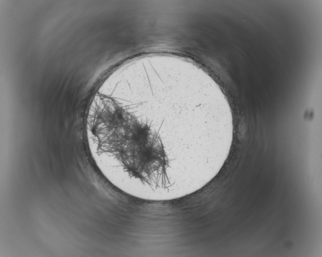 X0000110961356200907311056