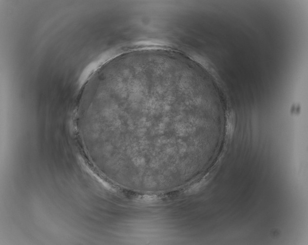 X0000110961357200907311056