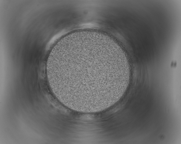 X0000110961358200907311056