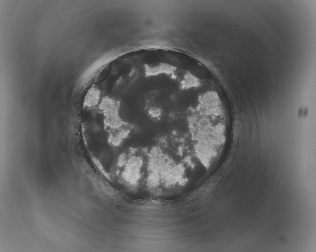 X0000110961359200907311056