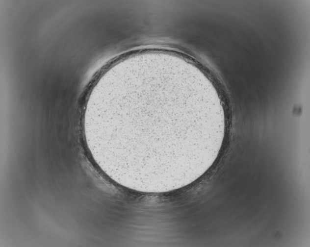 X0000110961360200907311056