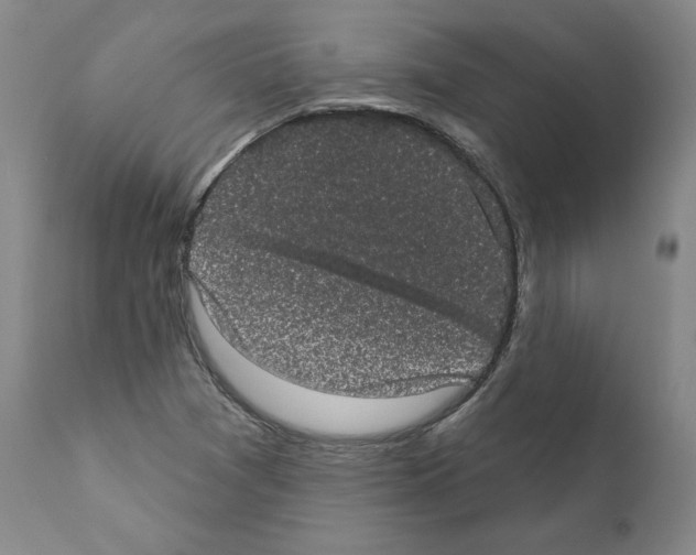 X0000110961361200907311056