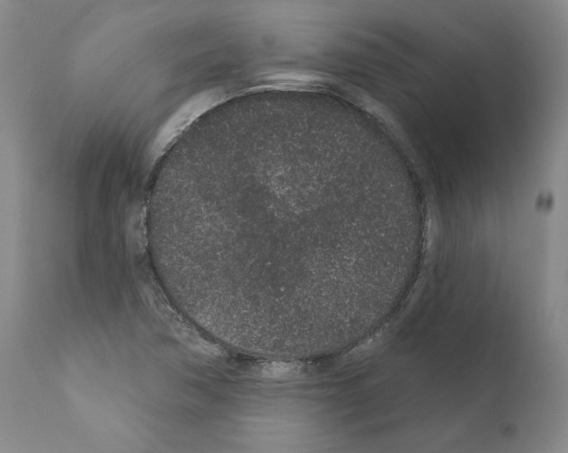 X0000110961362200907311056