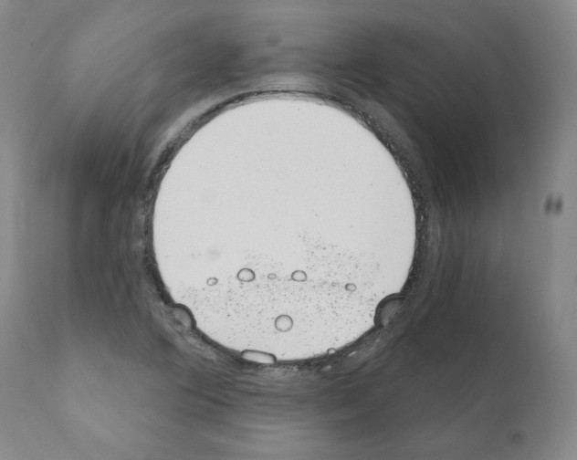 X0000110961364200907311056