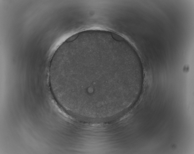 X0000110961367200907311056