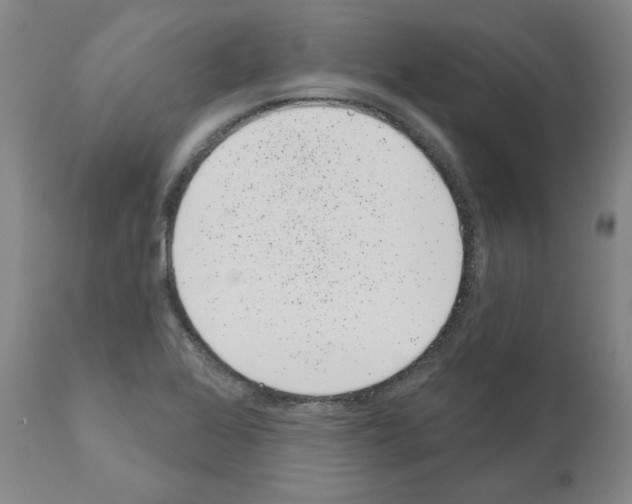 X0000110961368200907311056