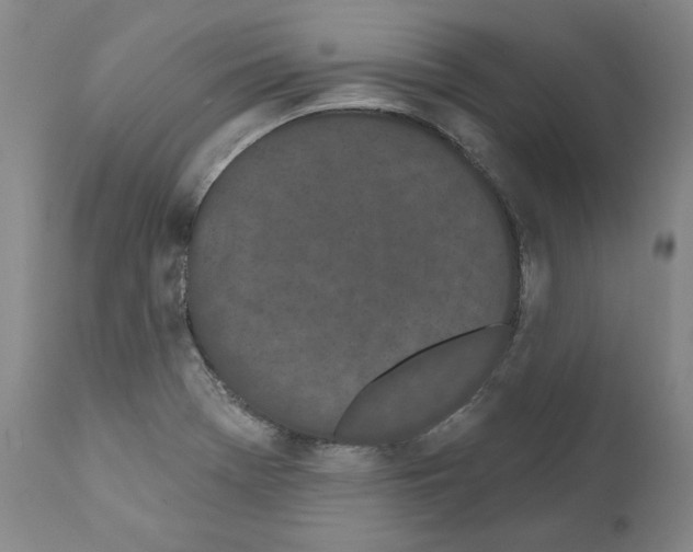 X0000110961369200907311056