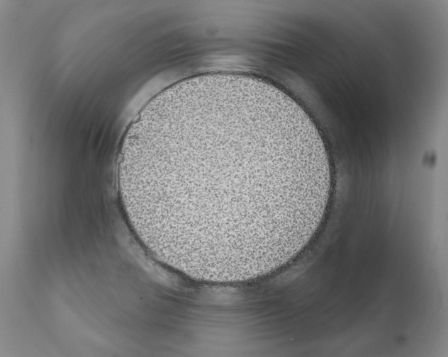 X0000110961370200907311056