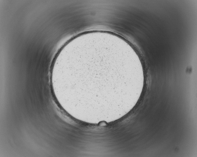 X0000110961372200907311056