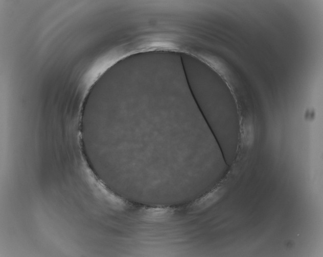 X0000110961373200907311056