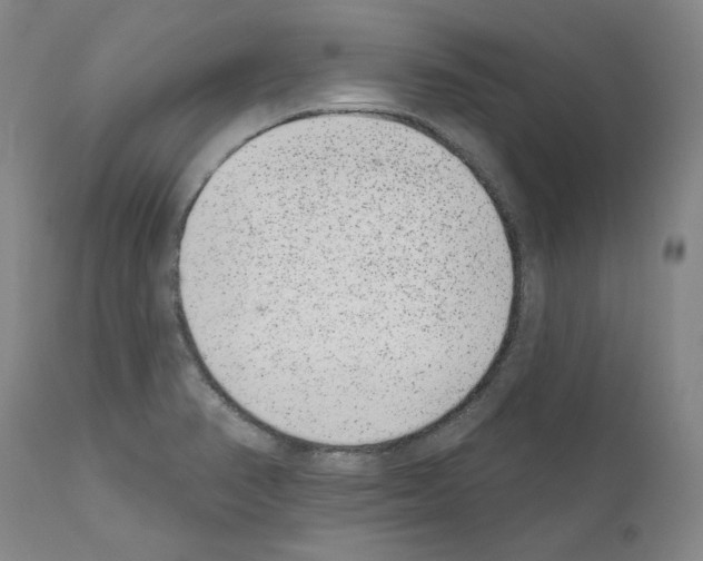 X0000110961374200907311056