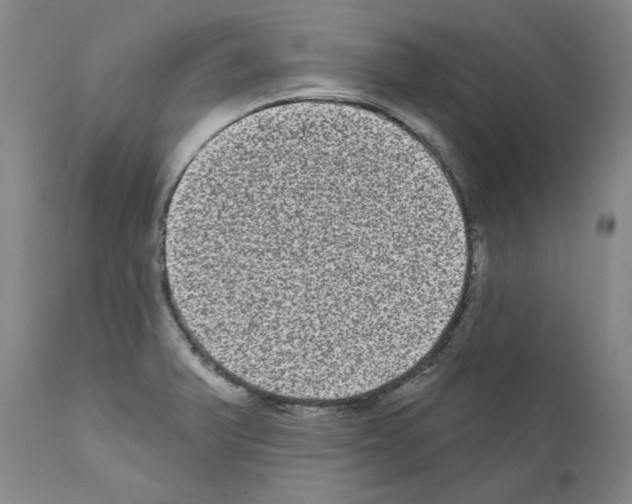 X0000110961375200907311056