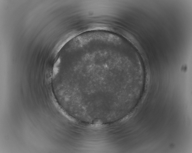 X0000110961377200907311056