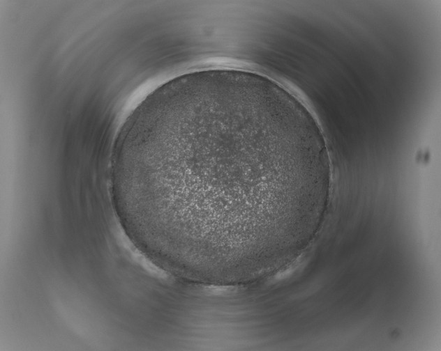 X0000110961381200907311056