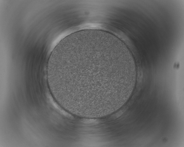 X0000110961382200907311056