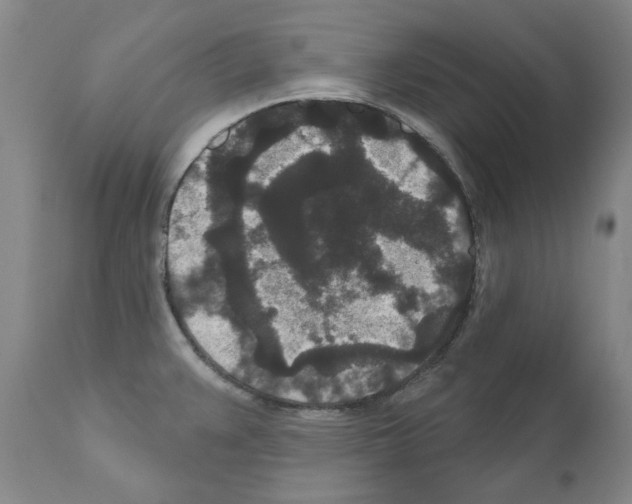 X0000110961383200907311056