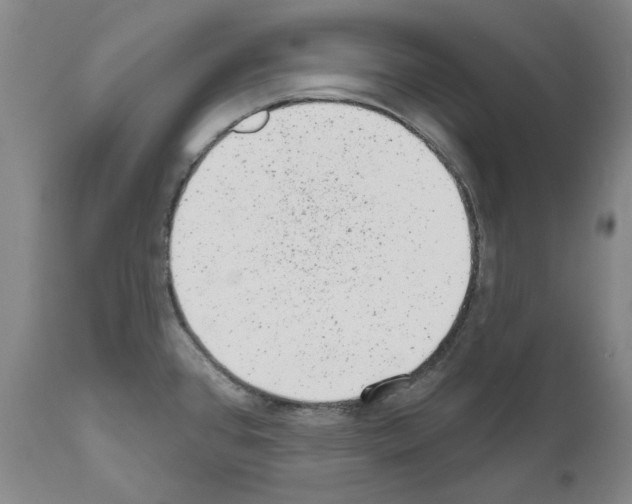 X0000110961384200907311056