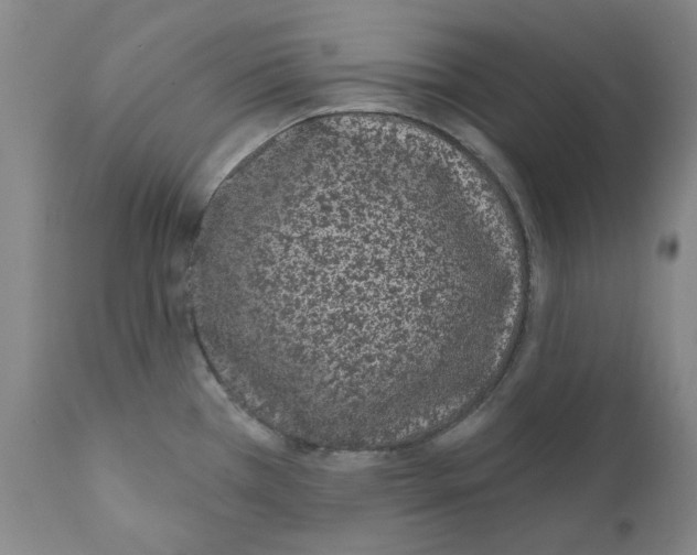 X0000110961385200907311056