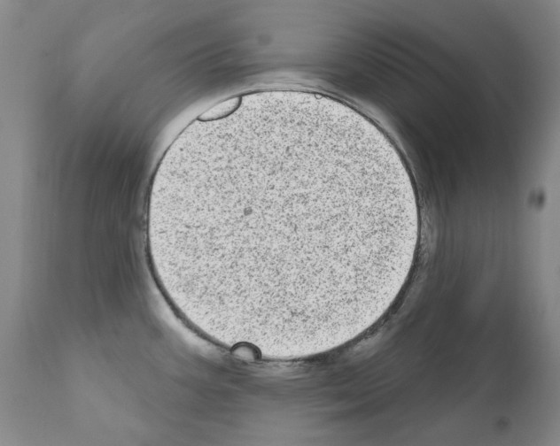 X0000110961387200907311056