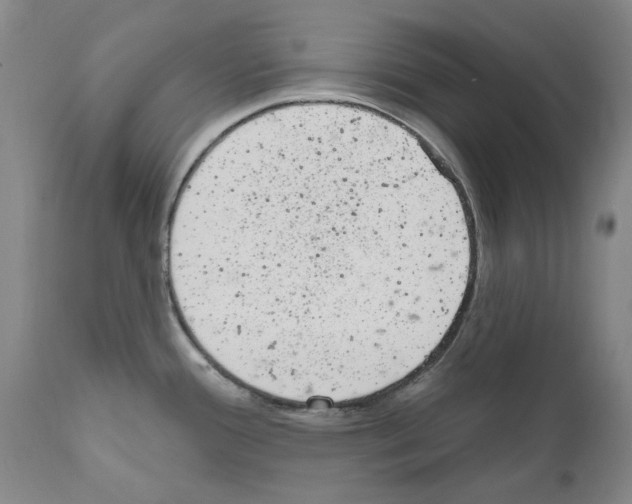 X0000110961388200907311056