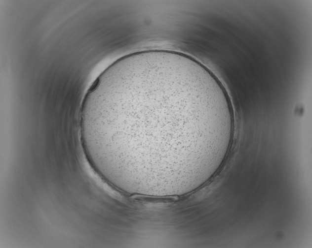 X0000110961389200907311056