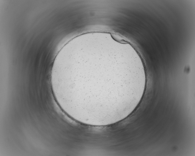 X0000110961390200907311056