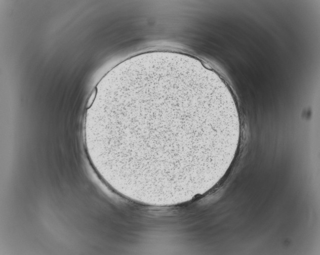 X0000110961391200907311056