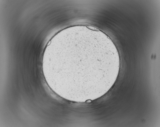 X0000110961392200907311056