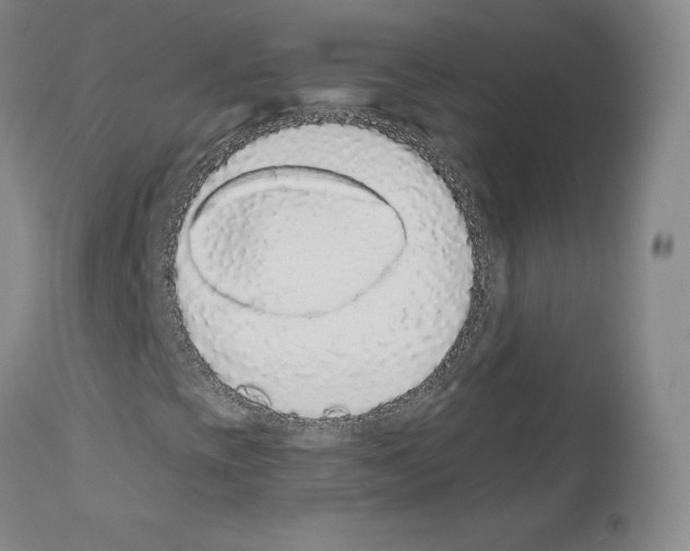 X0000110961393200907311055