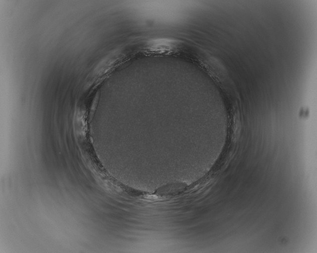 X0000110961394200907311055