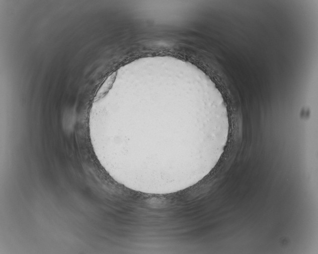 X0000110961395200907311055