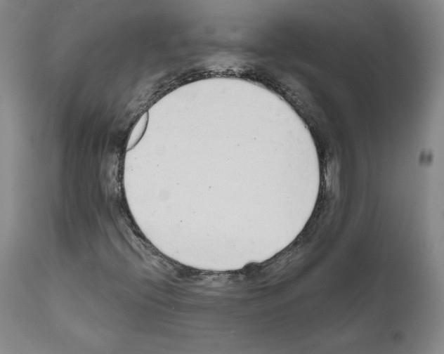 X0000110961396200907311055