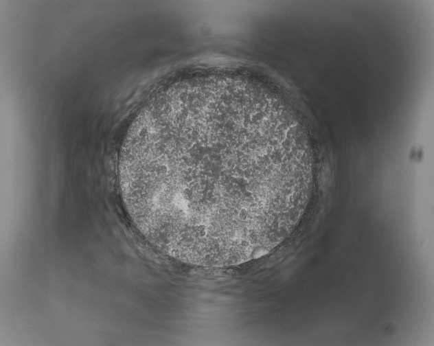 X0000110961397200907311055