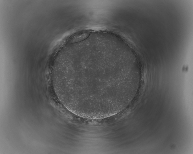 X0000110961398200907311055