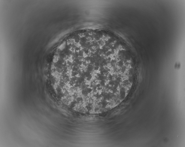 X0000110961399200907311055